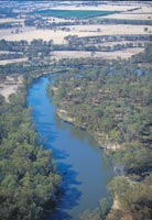 Murray River (Andrew Tatnell)