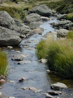 Perisher Creek - the Australian Alps Stream Health Monitoring Project
