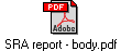 SRA report - body.pdf